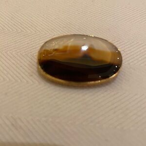 Petrified Wood Set in Pin